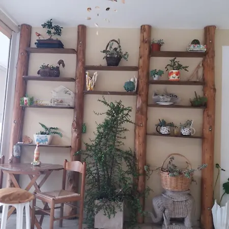 South Side 게스트하우스 3*